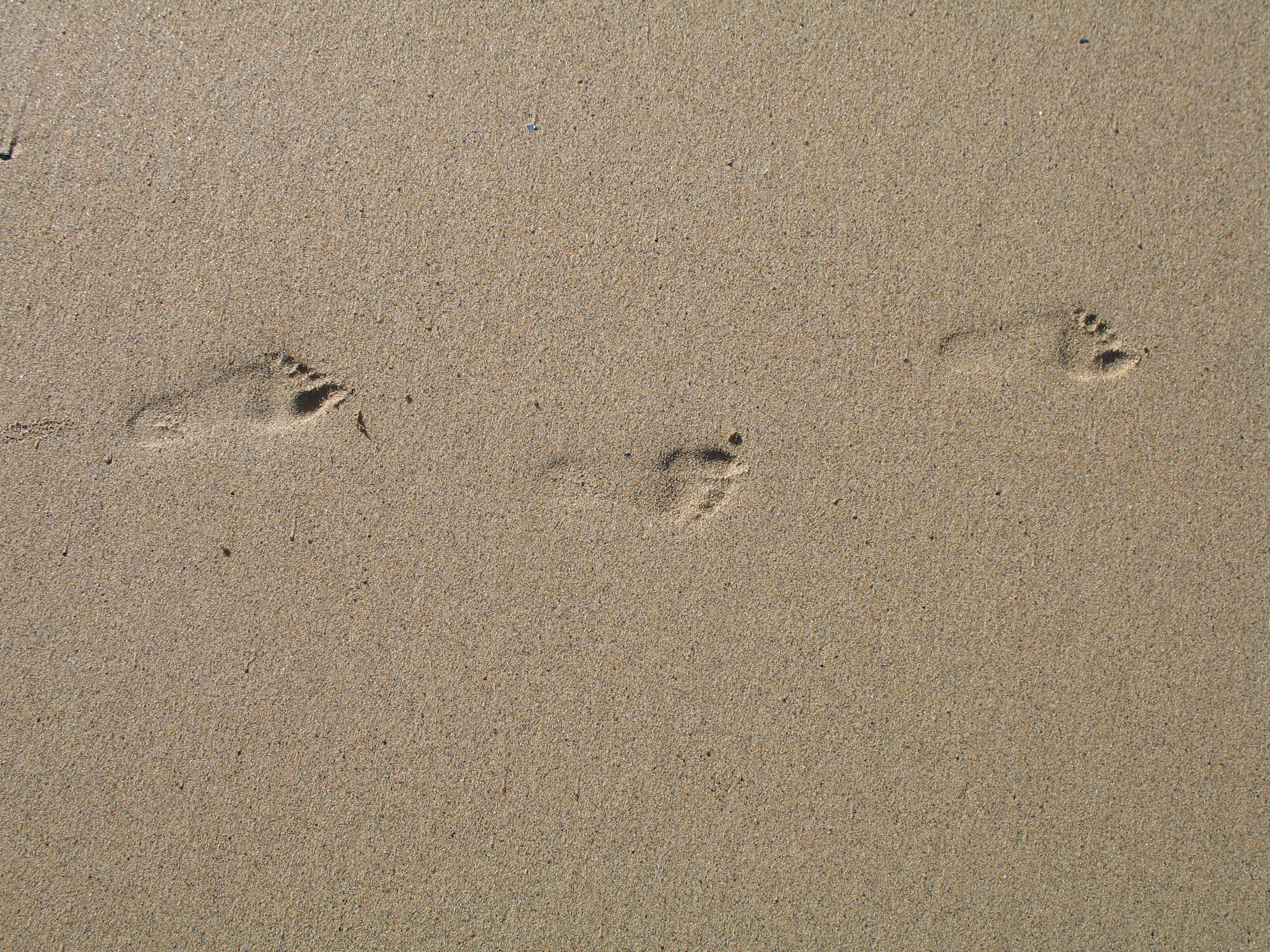 A child's footprints in the sand