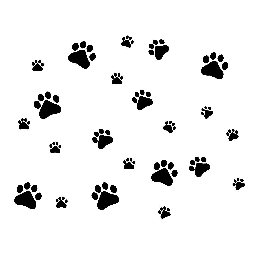 A dog paw print.