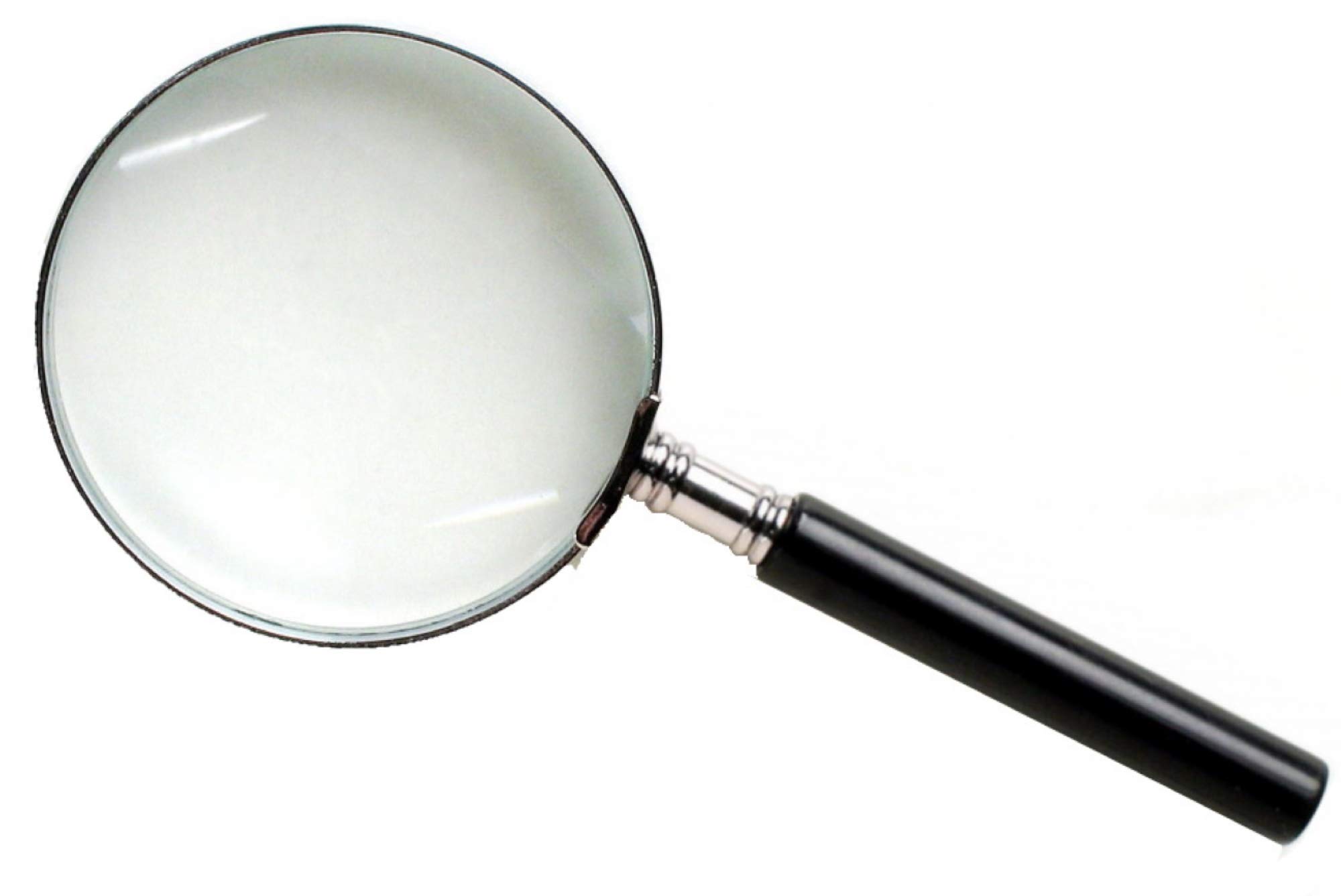 A magnifying glass examining a worm