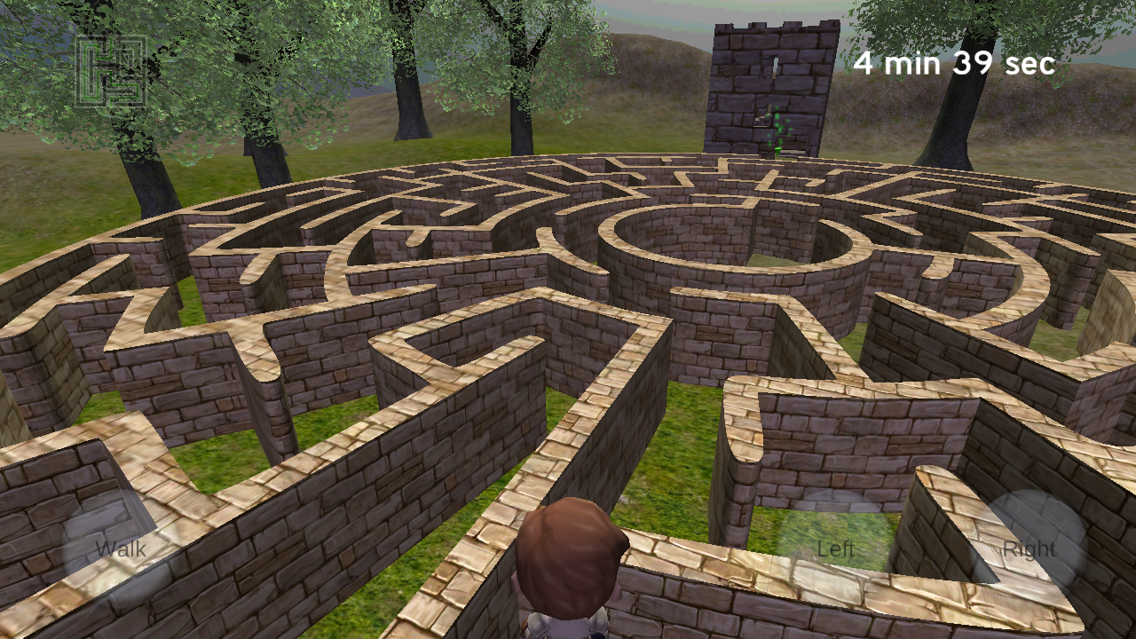 A maze or labyrinth.