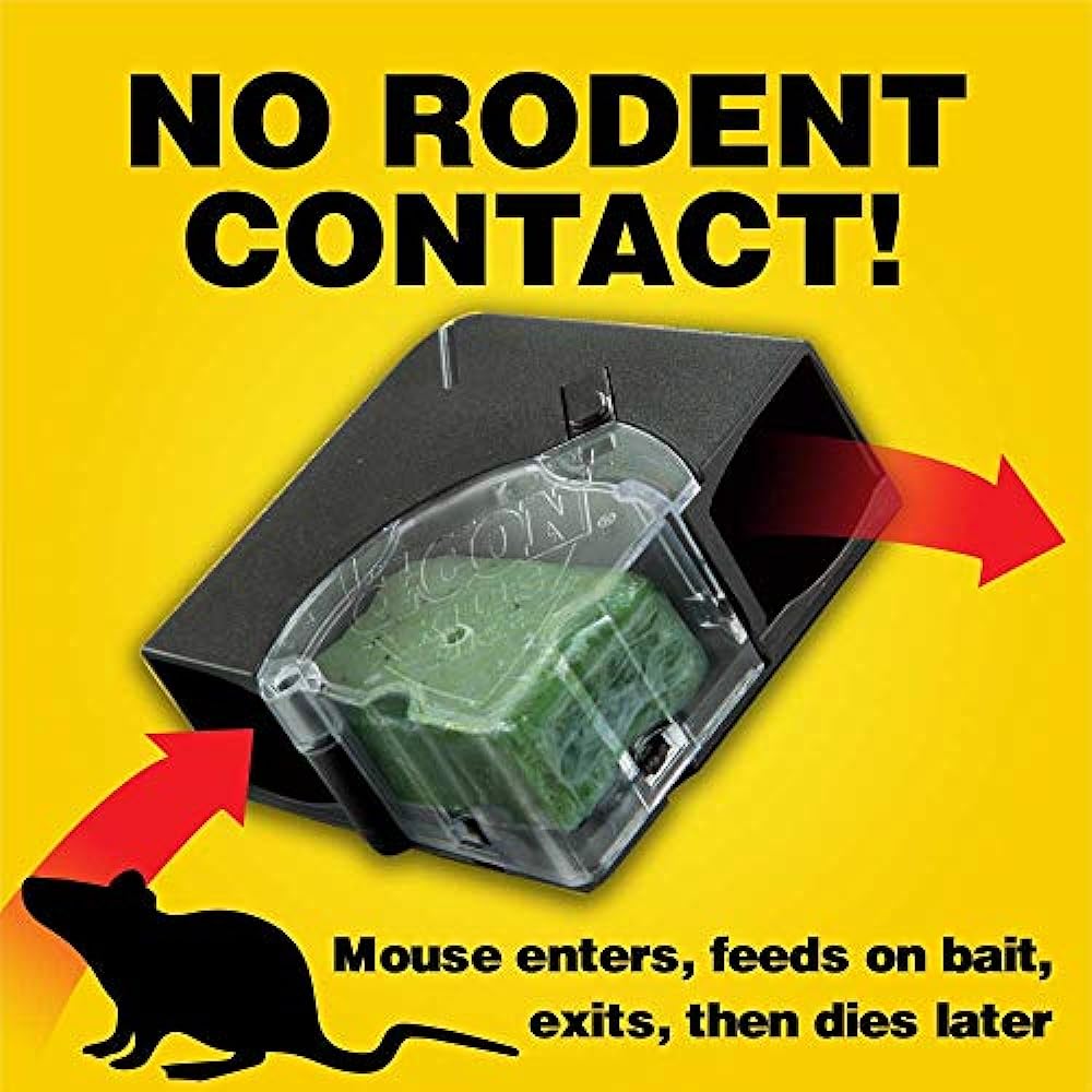 A mouse trap with poison.
