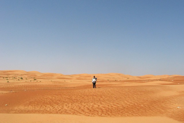 A person gazing at a vast empty desert landscape.