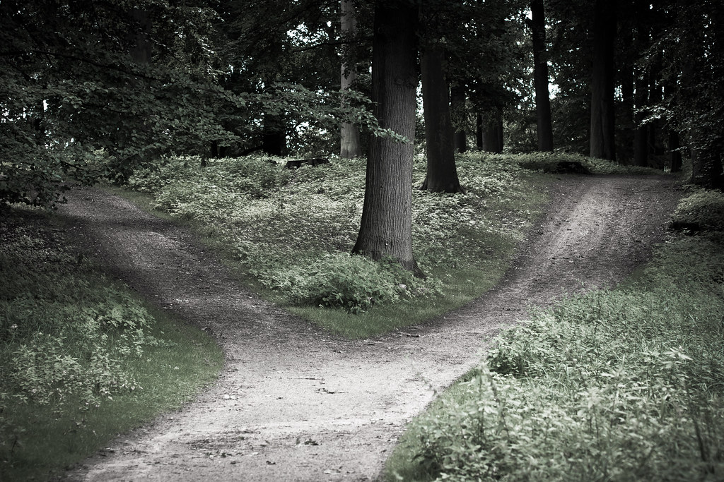 A person standing at a crossroads with multiple paths.