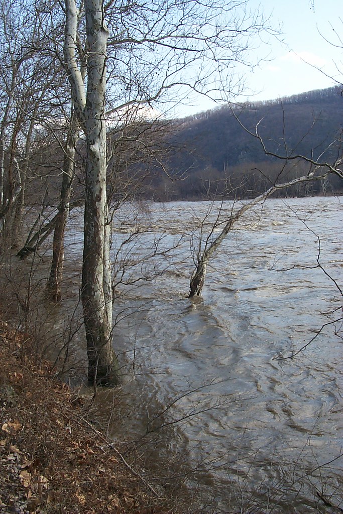 A river overflowing its banks