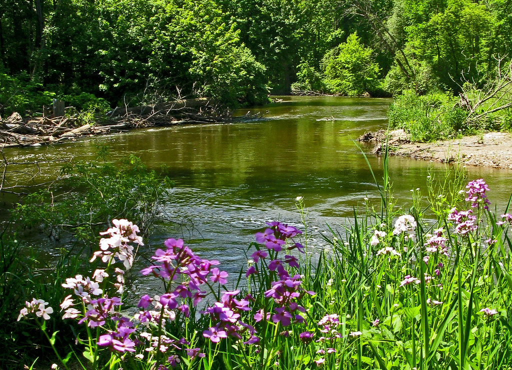A serene landscape of a meandering river with blooming flowers along its banks.
