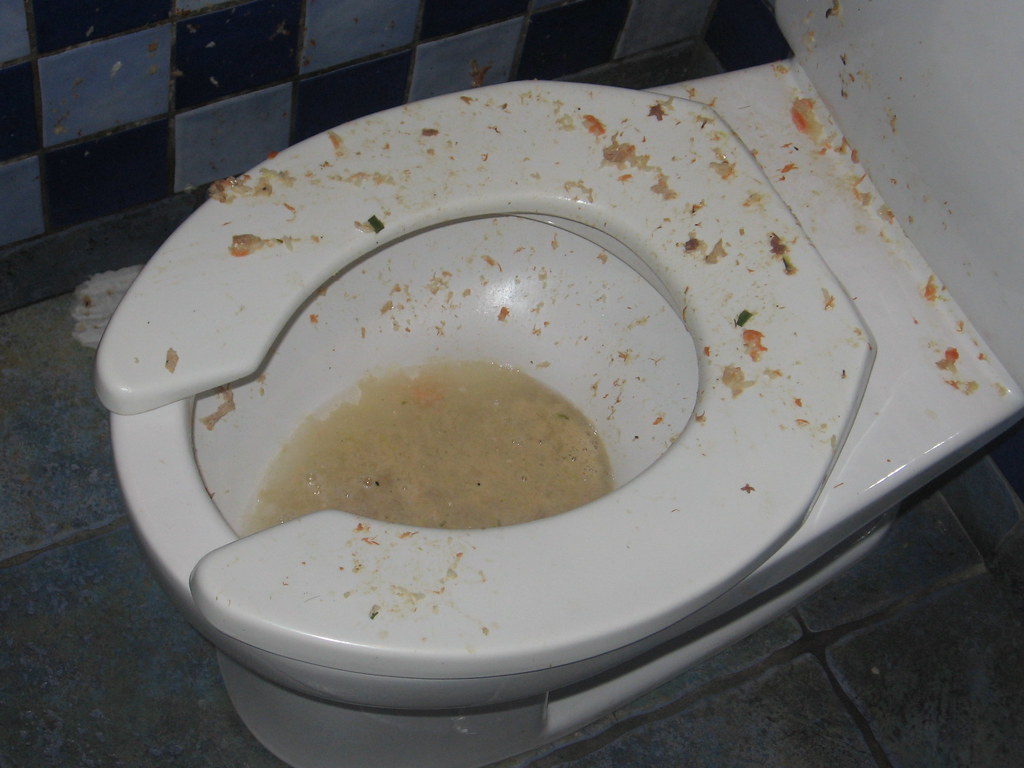 A toilet overflowing with vomit.