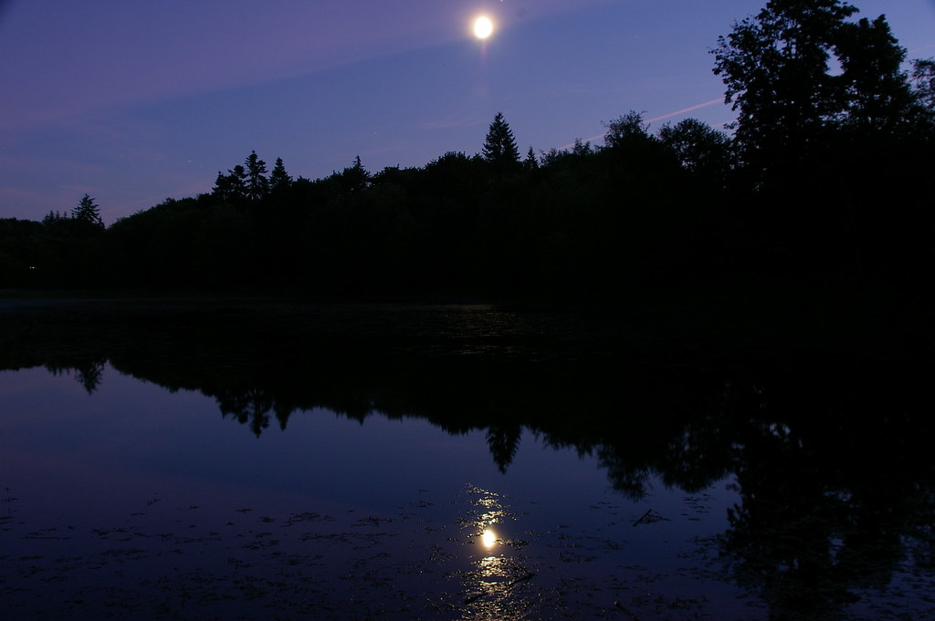 Blood Moon reflecting on a calm lake.