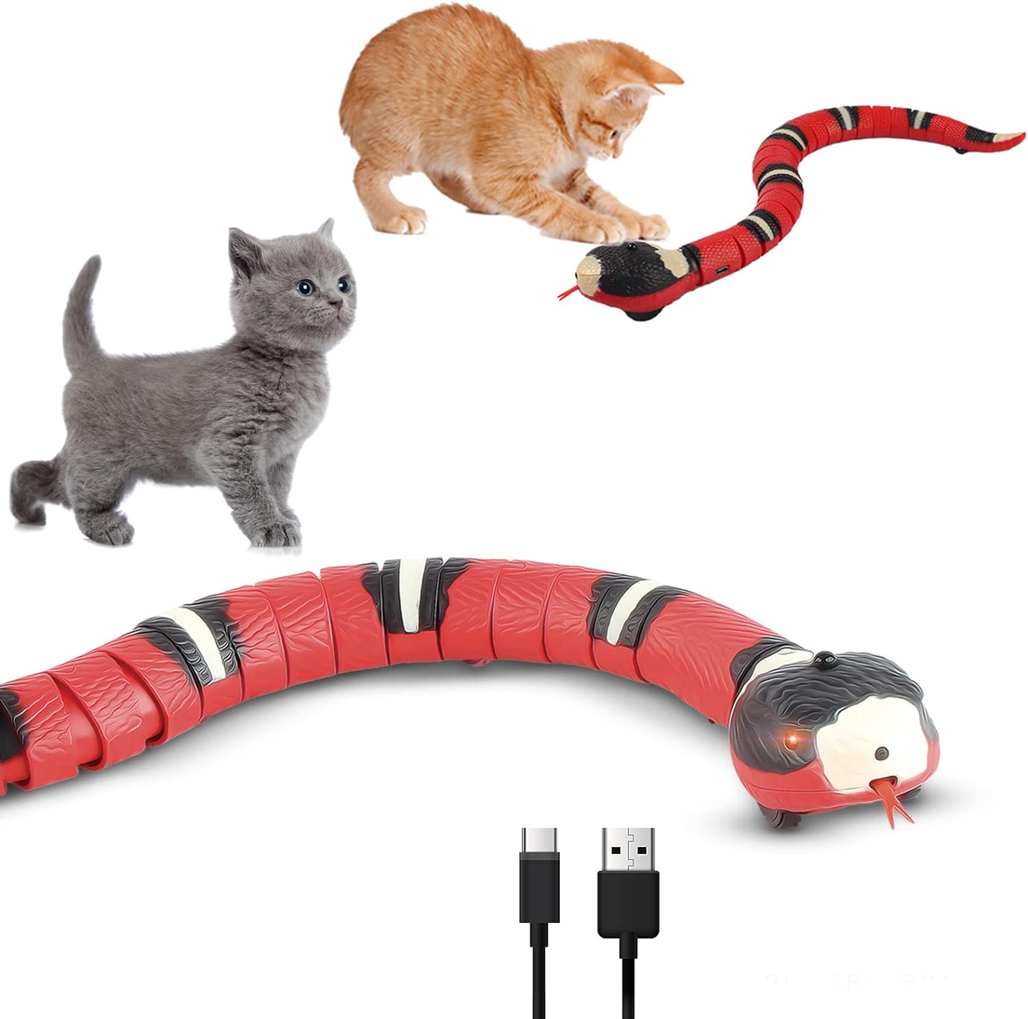 Cat and snake coiled together