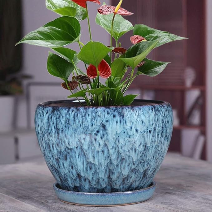 Green plant pot with a hidden message