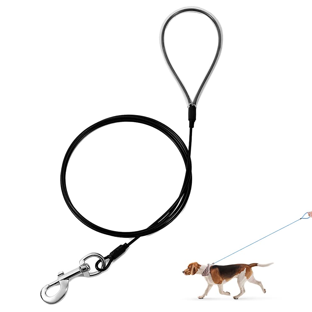 Image of a person holding a leash with a broken chain.