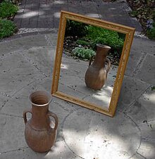 Mirror reflection