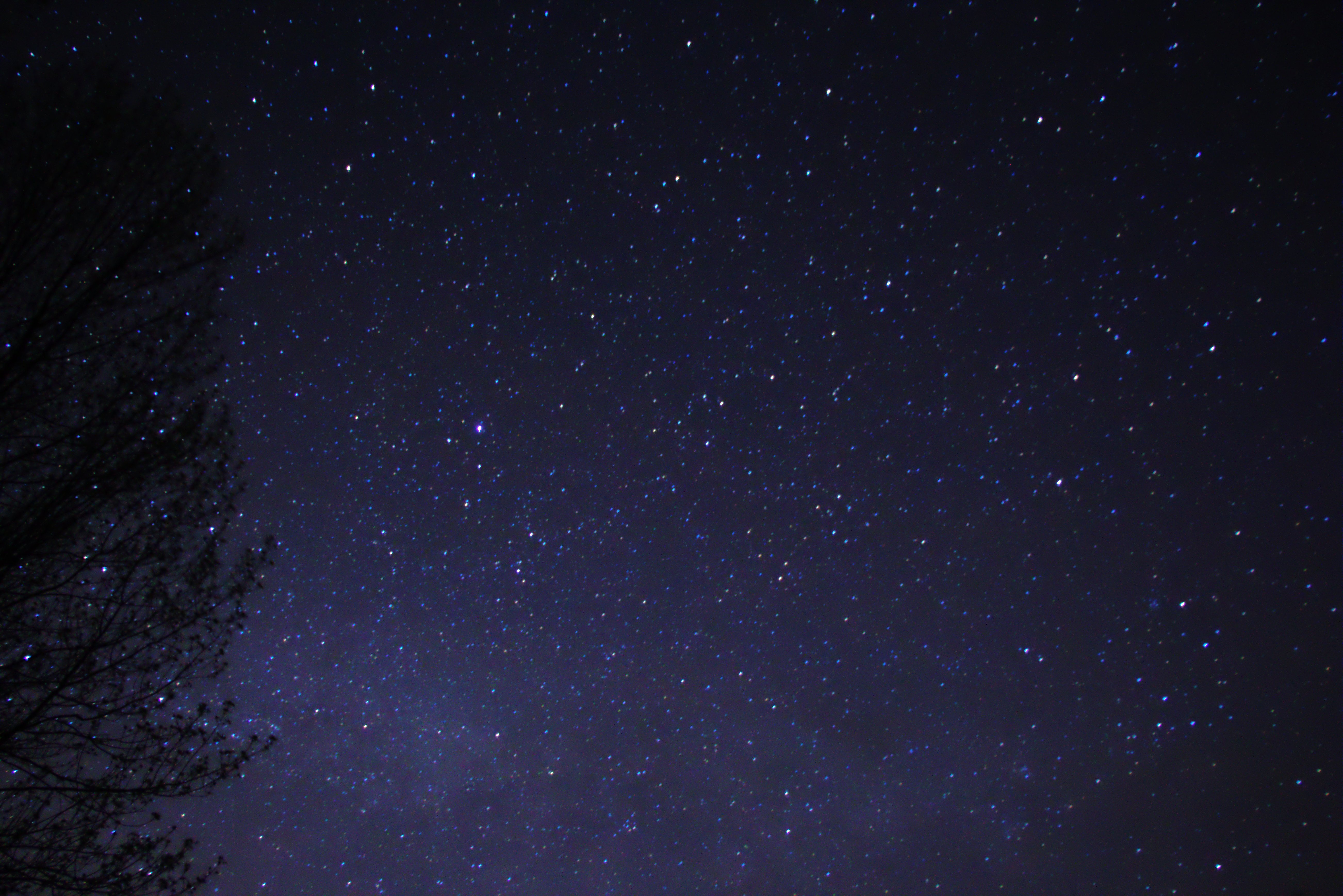 Nighttime sky with stars and a tangled web