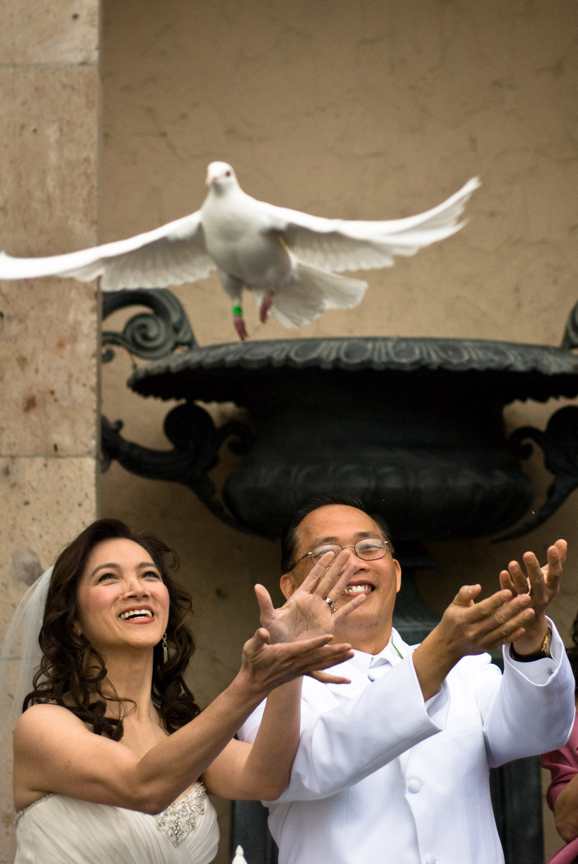 Person releasing a dove