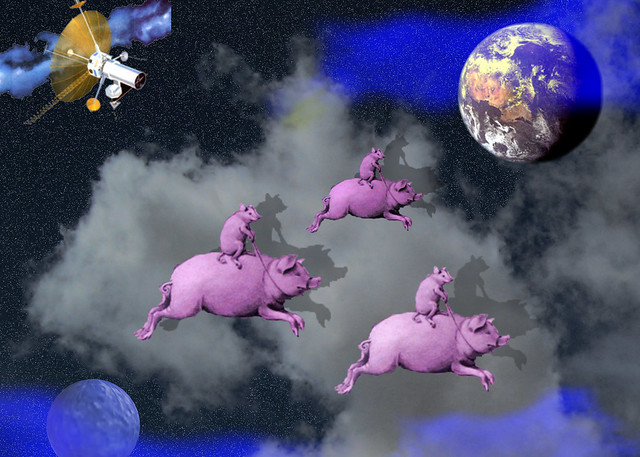 Pink pig flying in a dream