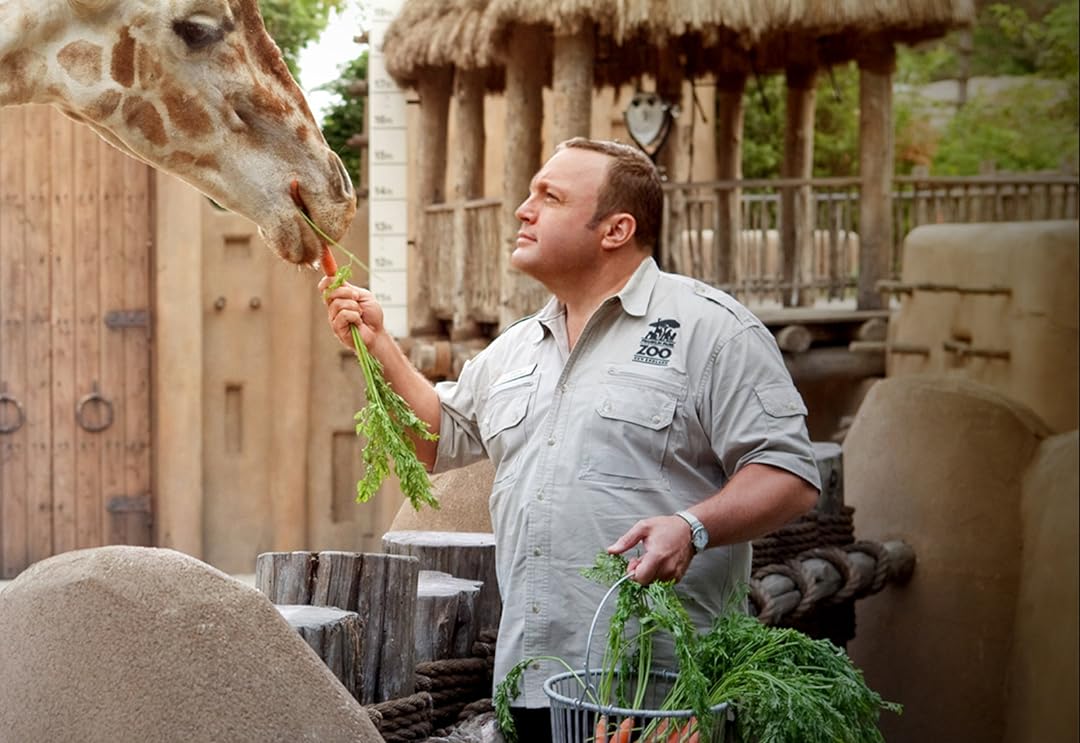 Zookeeper feeding a giraffe